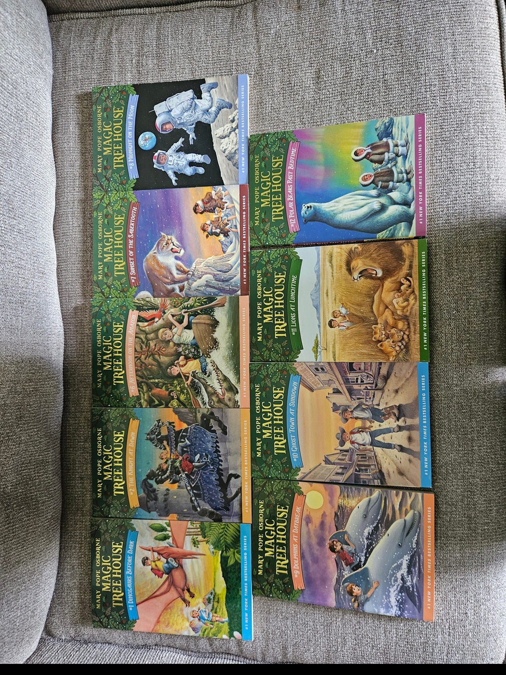 Book Set - Magic Treehouse - Picture 1 of 2